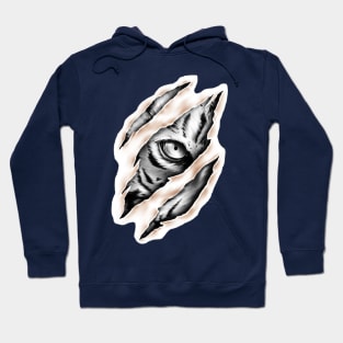 Eye of the Tiger Hoodie